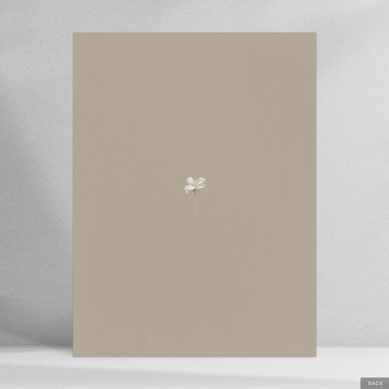 Vanilla & Blossom Love Invitation - Image 3